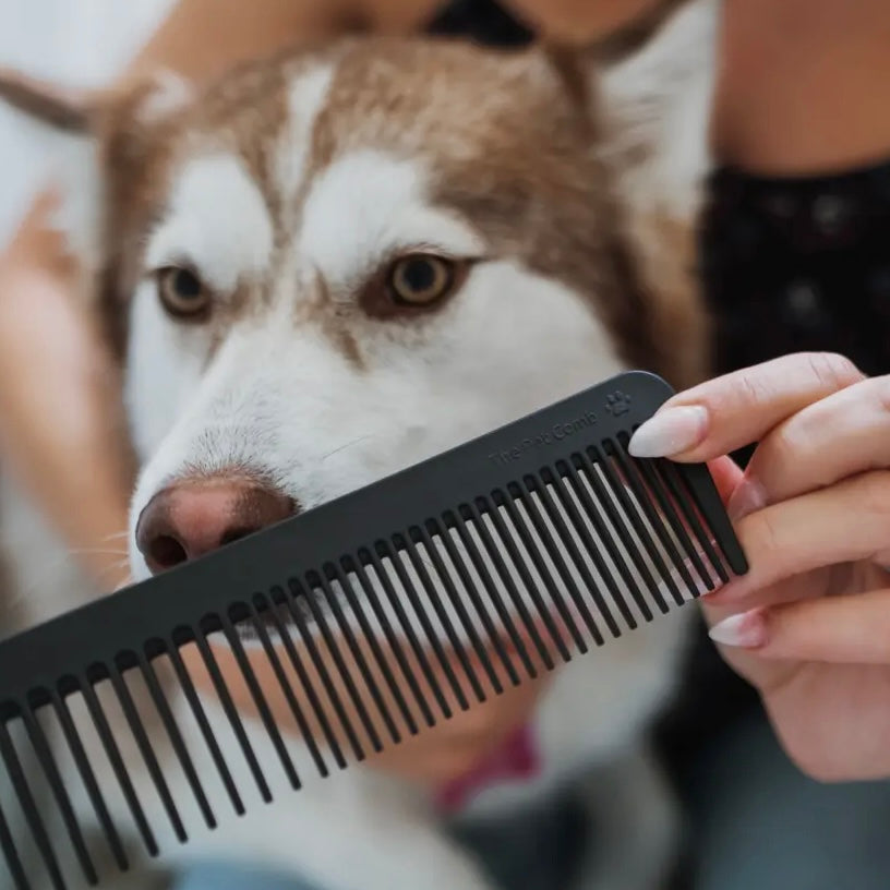 Chicago Comb Company Pet Comb