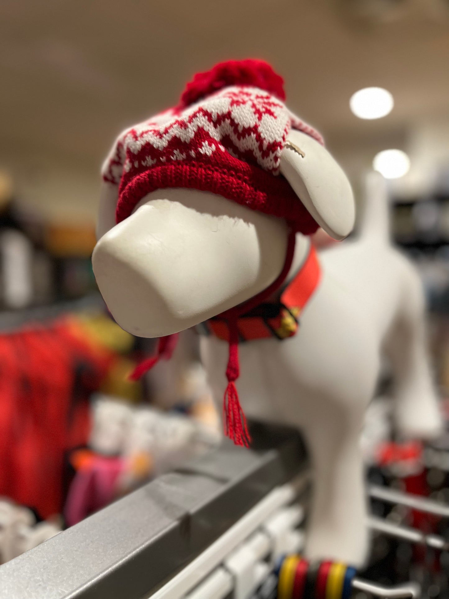 The Worthy Dog Winter Hat