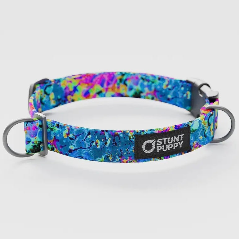 Stunt Puppy Reflective Stitch Everyday Collar