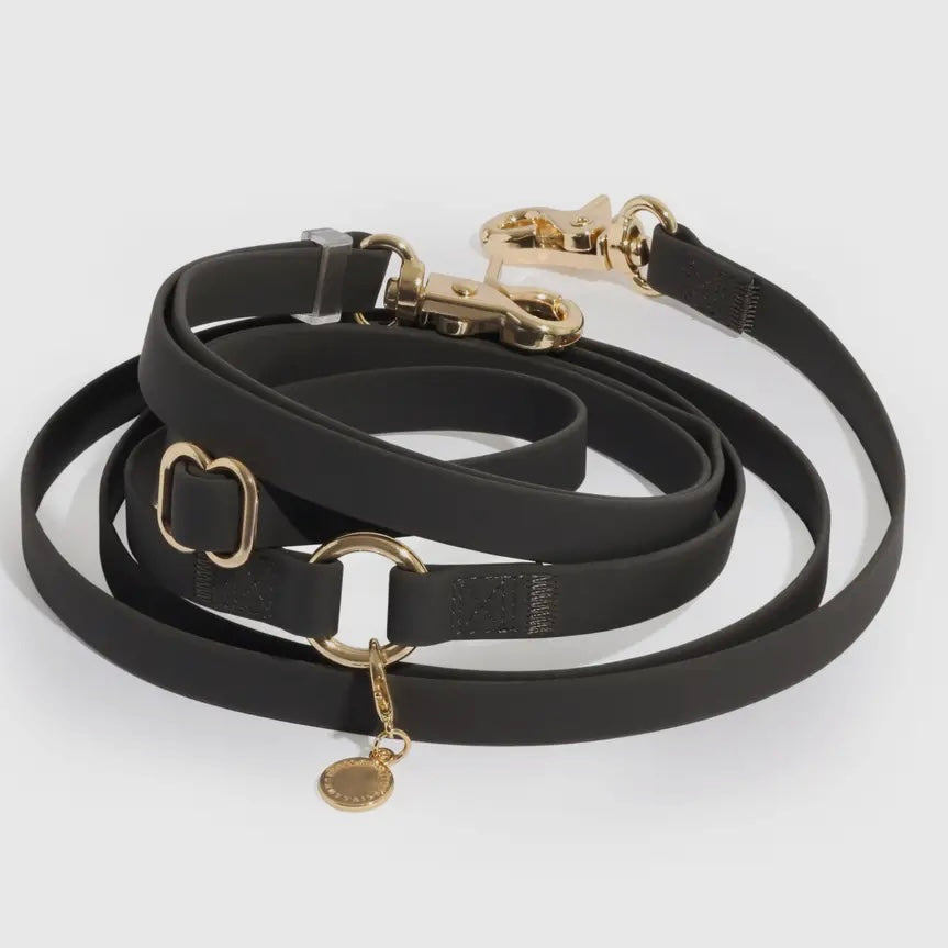 Sunny Tails 4-in-1 Convertible Hands Free Cloud Dog Leash