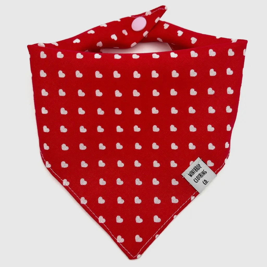 Winthrop Clothing Co. Red Heart Dog Bandana