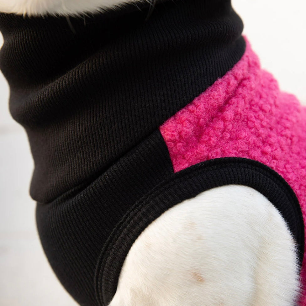 Long Dog Clothing Raspberry Turtleneck