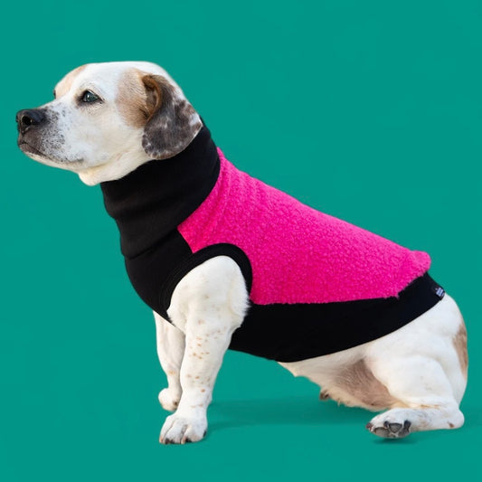 Long Dog Clothing Raspberry Turtleneck