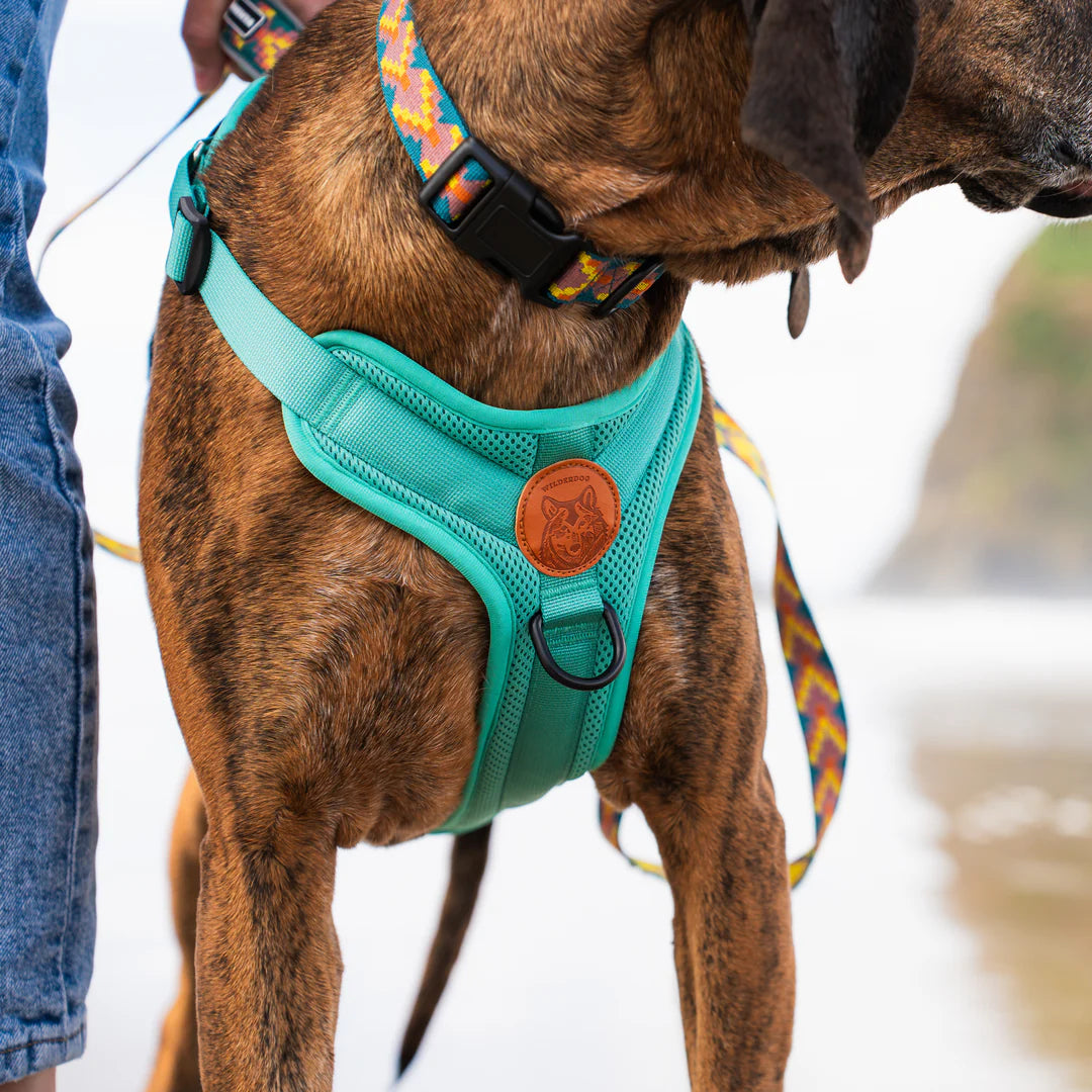 Wilderdog Adventure Harness