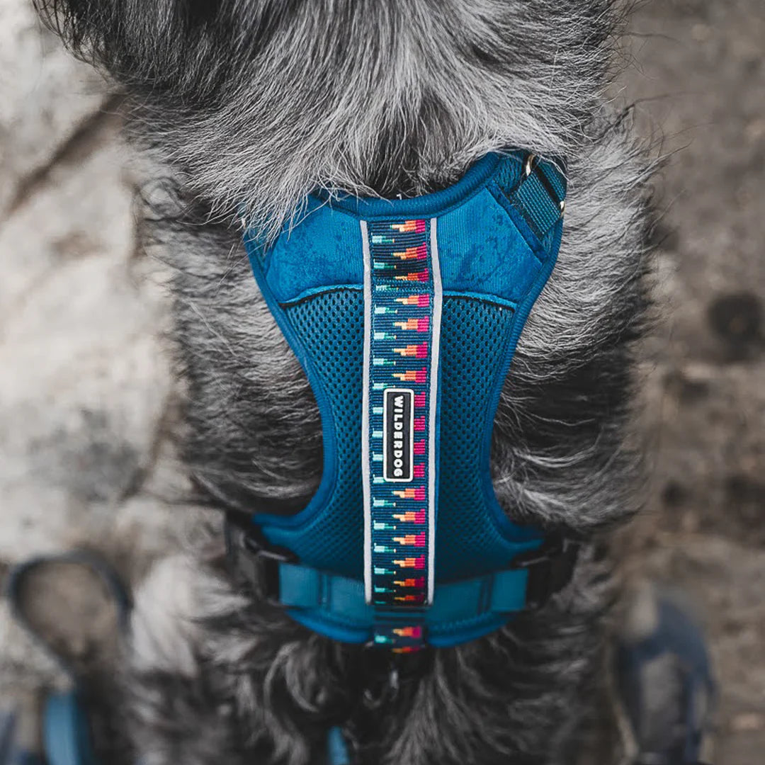 Wilderdog Adventure Harness