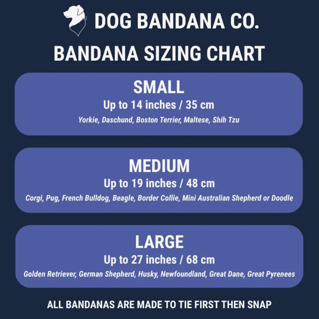 Dog Bandana Co Birthday/Gotcha Day Reversible Bandana