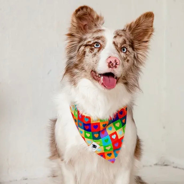 Dog Bandana Co Love Wins Reversible Bandana