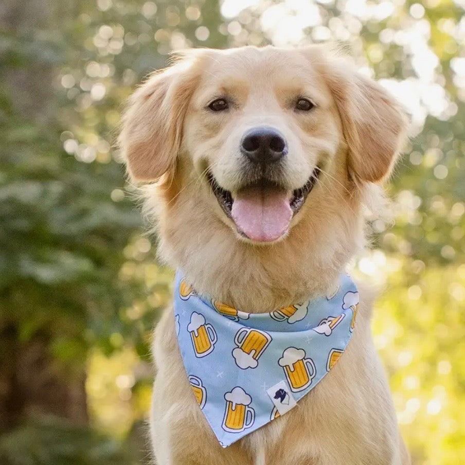Dog Bandana Co Cheers and Beers Reversible Bandana