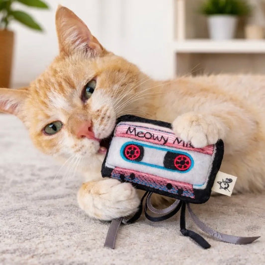 Crochet Kitty Meowsical Catnip Cassette Tape