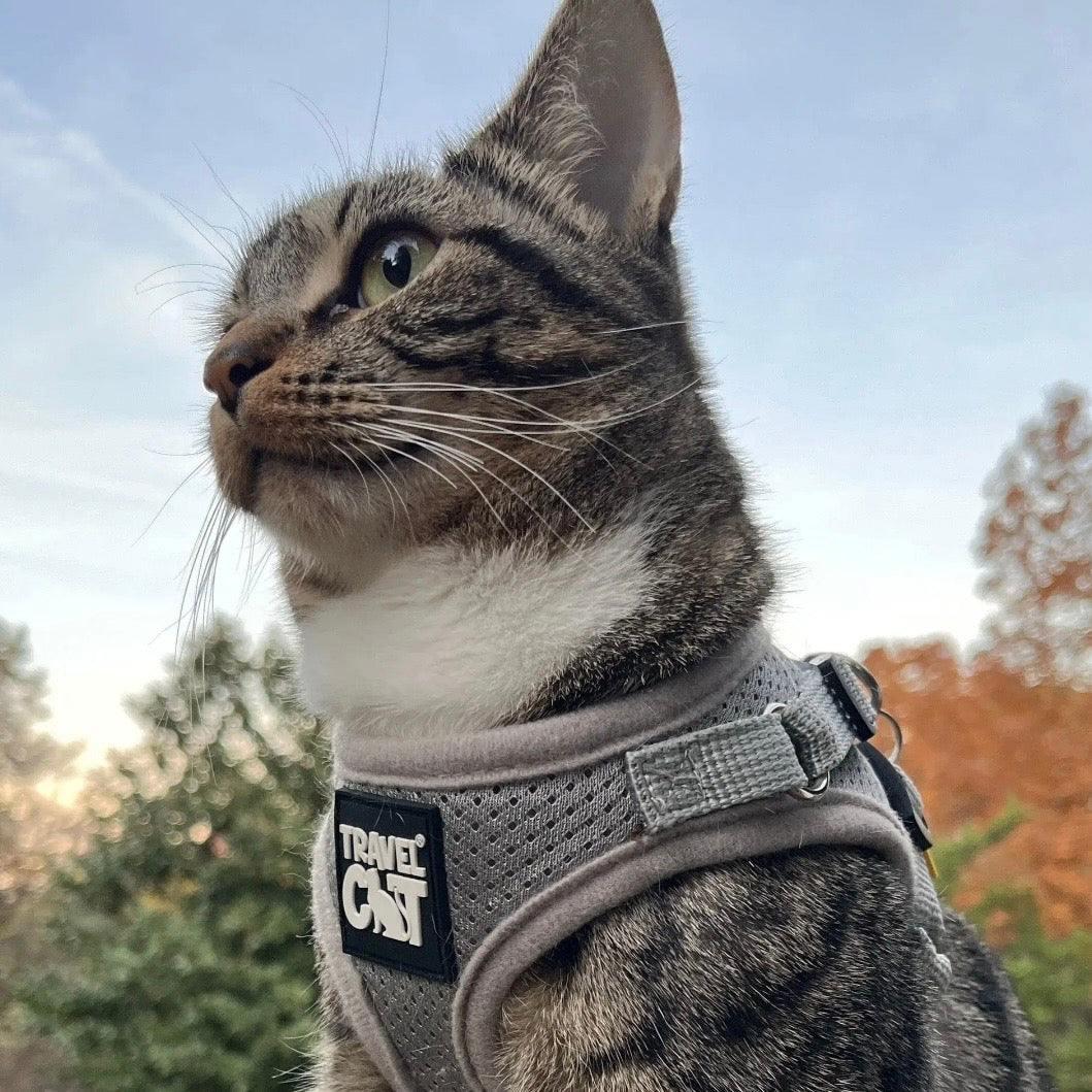 Travel Cat Harness + Leash Set