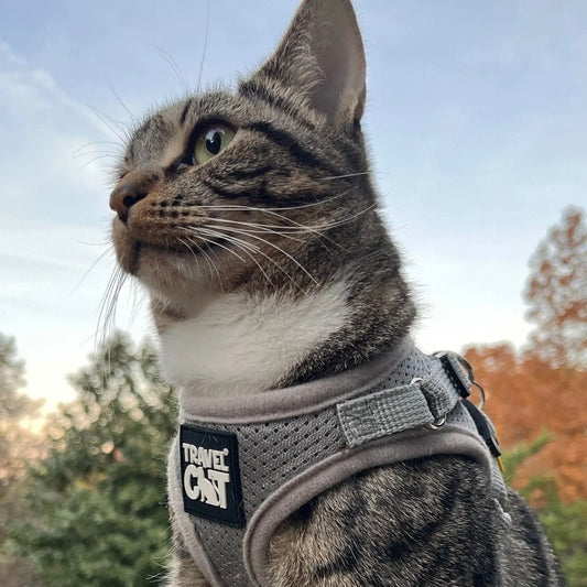 Travel Cat Harness + Leash Set