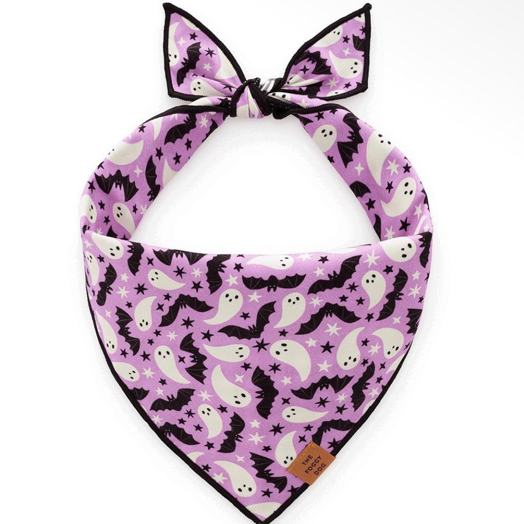 Foggy Dog Spooky Season Reversible Dog Bandana