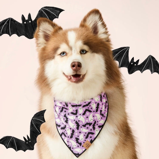 Foggy Dog Spooky Season Reversible Dog Bandana