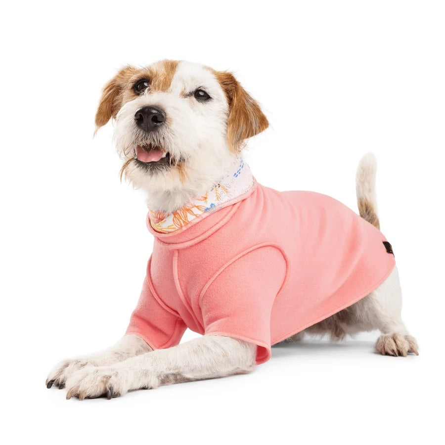 GoldPaw Resort Pullover