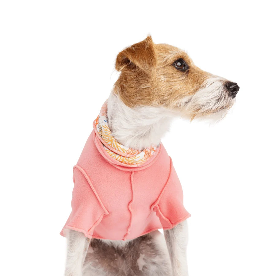 GoldPaw Resort Pullover