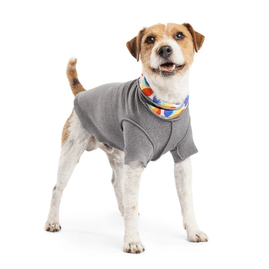 GoldPaw Resort Pullover