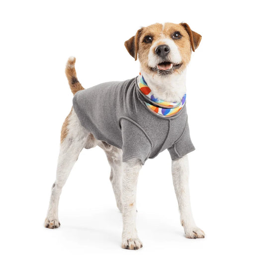 GoldPaw Resort Pullover
