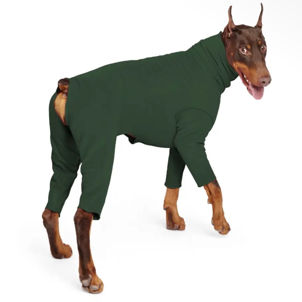 GoldPaw Signature Suit