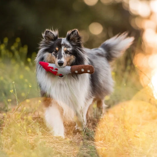 PLAY Halloween Doggy Dagger