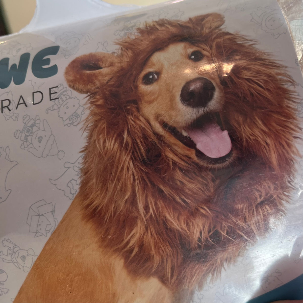 Pet Krewe Lion Mane Costume