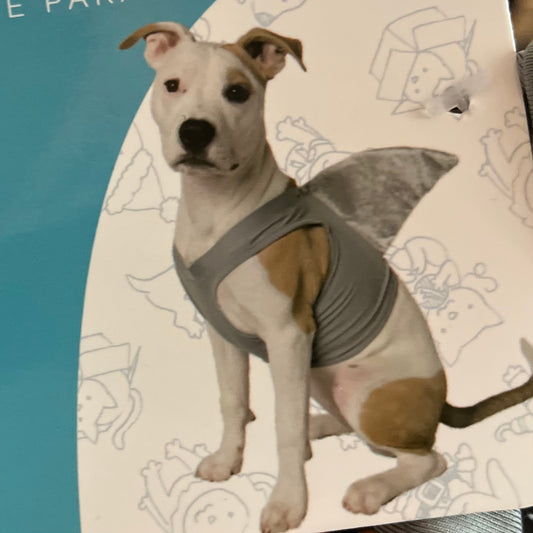 Pet Krewe Shark Fin Costume