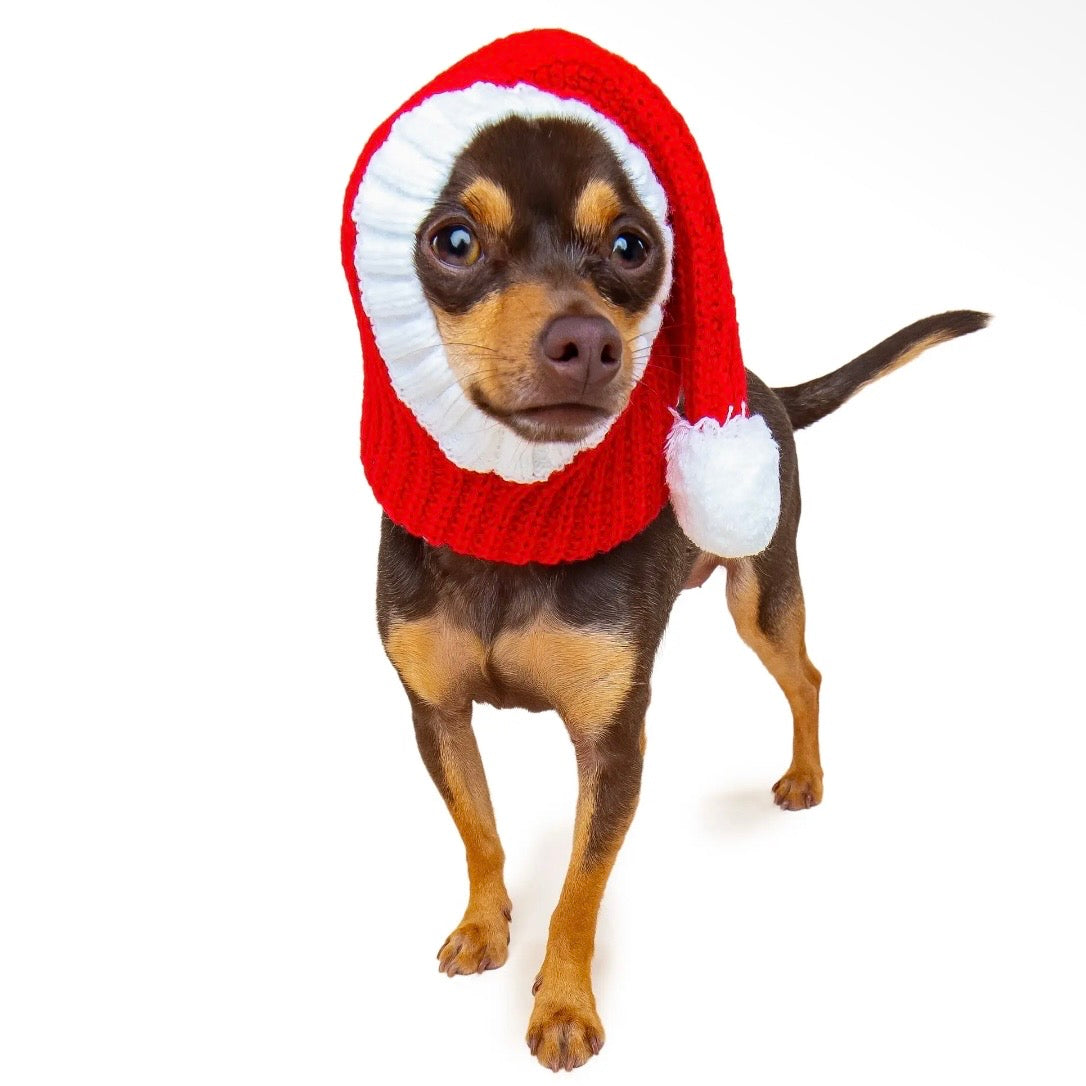 Zoo Snood: Santa Hat