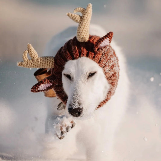 Zoo Snood: Reindeer