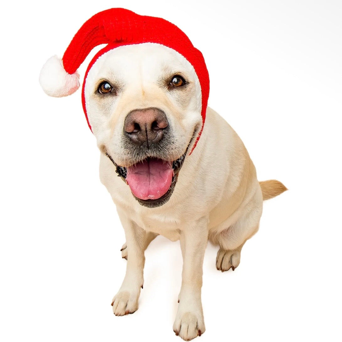 Zoo Snood: Santa Hat