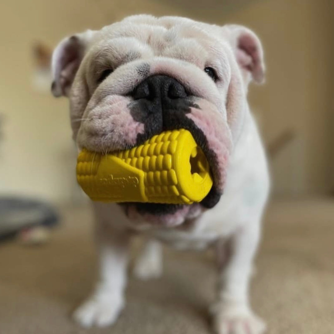 SodaPup Corn on the Cob Treat Dispenser Toy