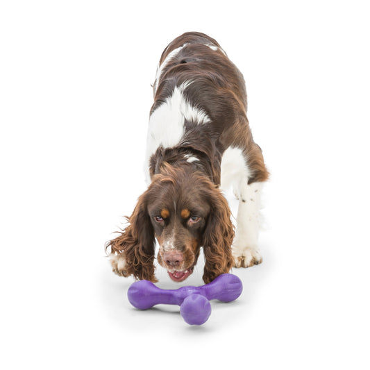 Skamp Toss and Tug Toy