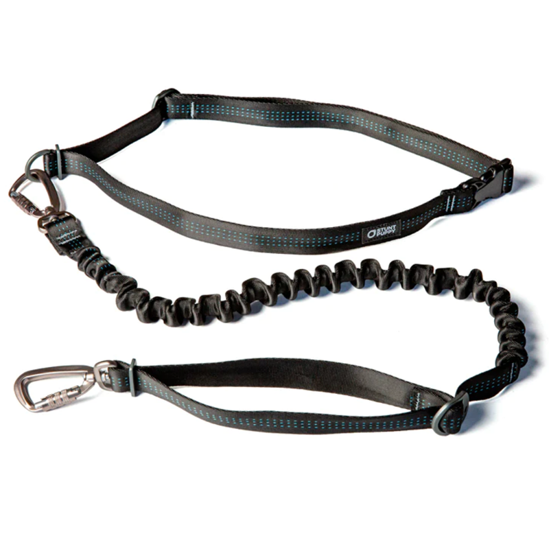 Stunt Puppy Stunt Runner Leash