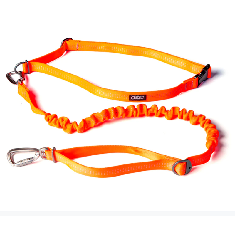 Stunt Puppy Stunt Runner Leash