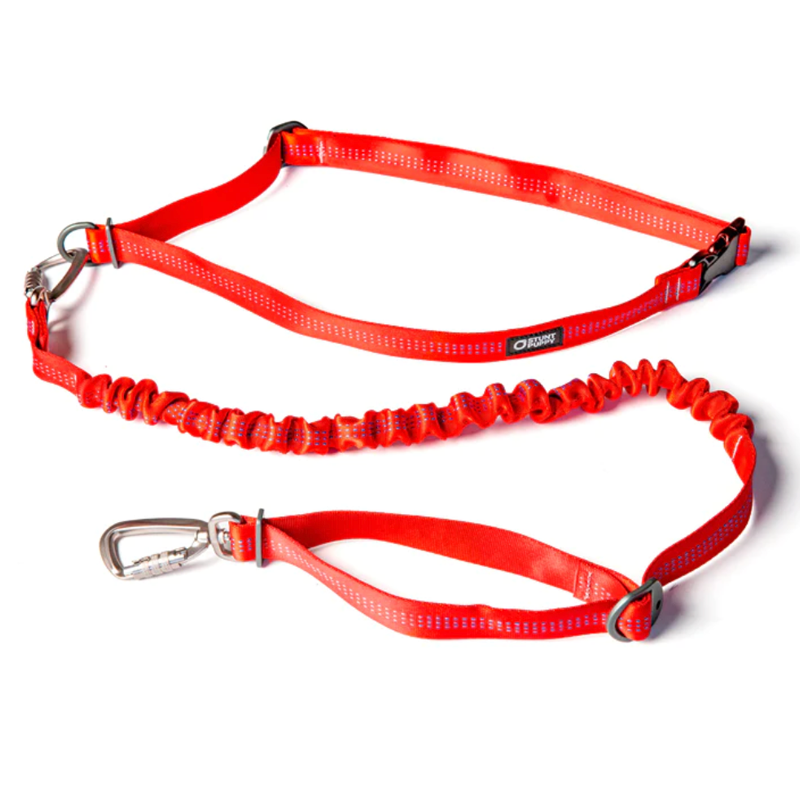 Stunt Puppy Stunt Runner Leash