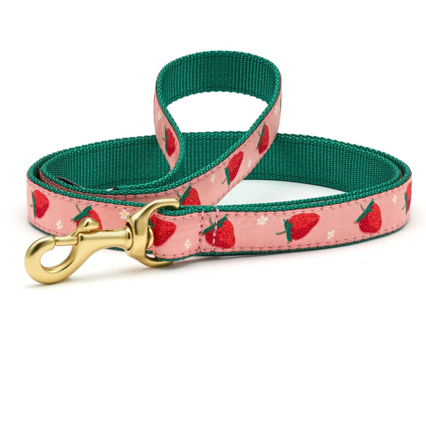 Up Country Strawberry Fields Leash