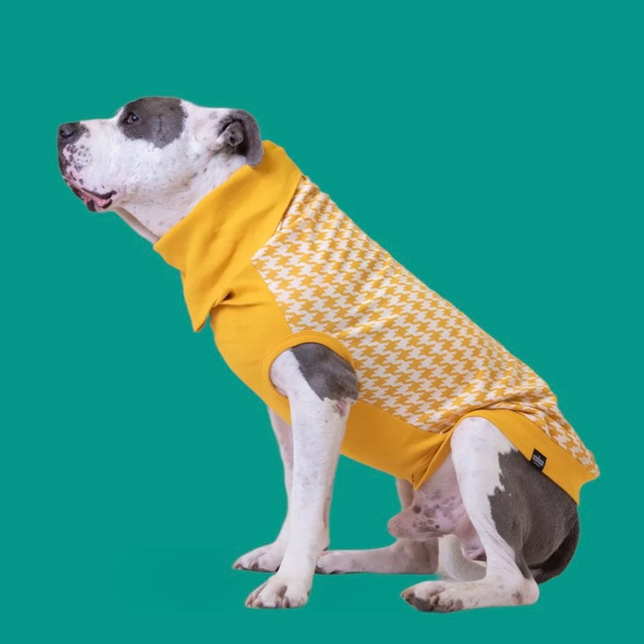 Long Dog Clothing William (Yellow Houndstooth)