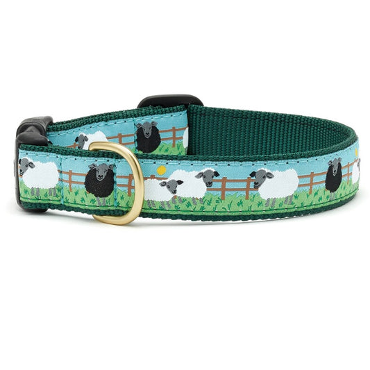Up Country Sheep (Counting Sheep) Dog Collar
