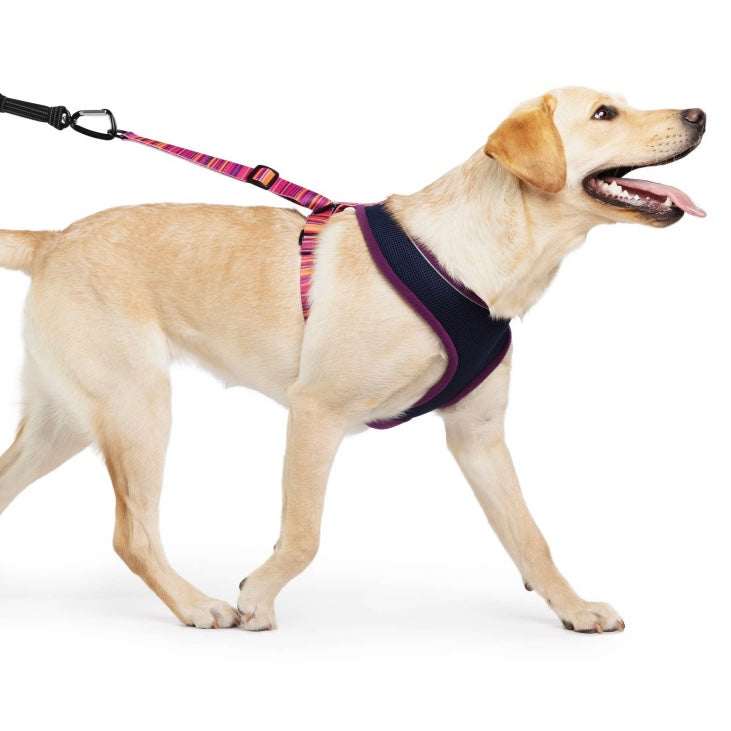 Gold Paw Featherweight Harness