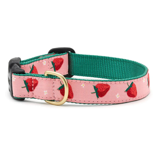 Up Country Strawberry Fields Dog Collar