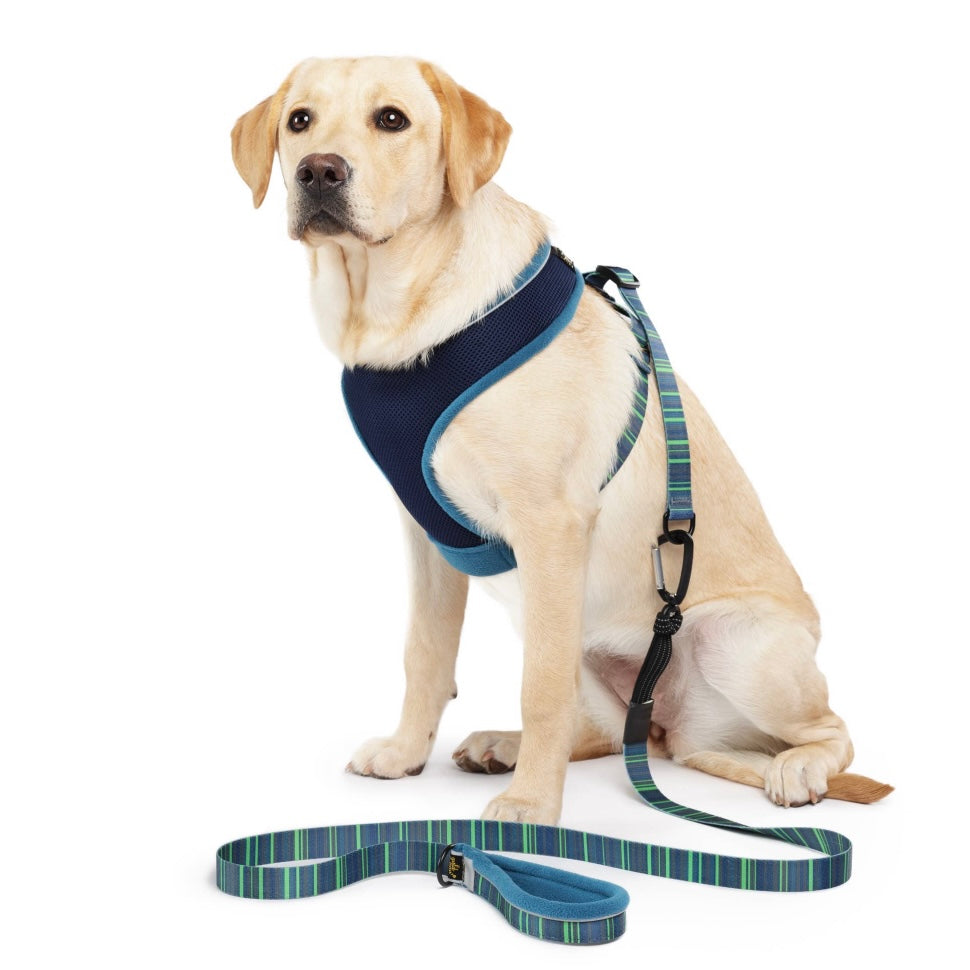 Gold Paw Featherweight Harness