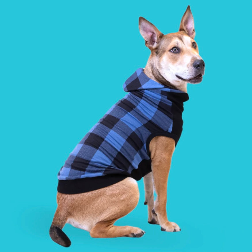 Blue 2024 dog clothing