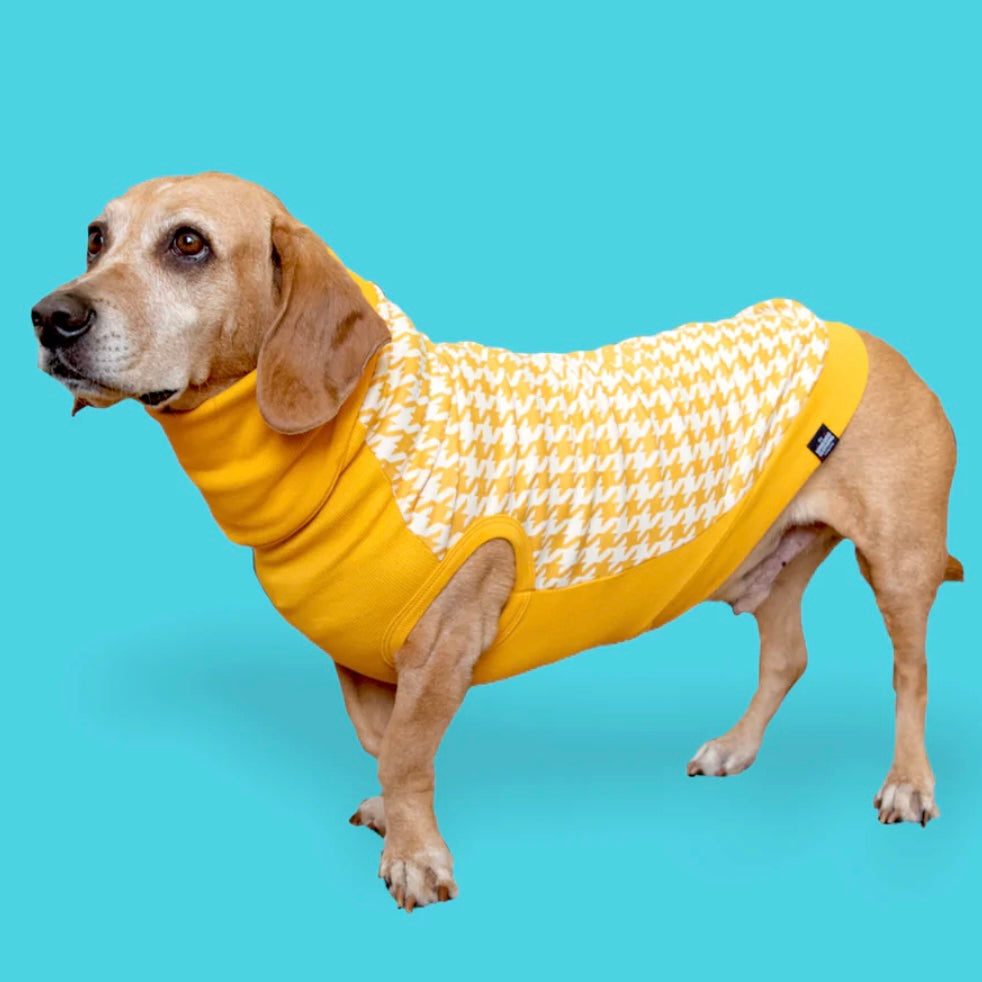 Long Dog Clothing William (Yellow Houndstooth)