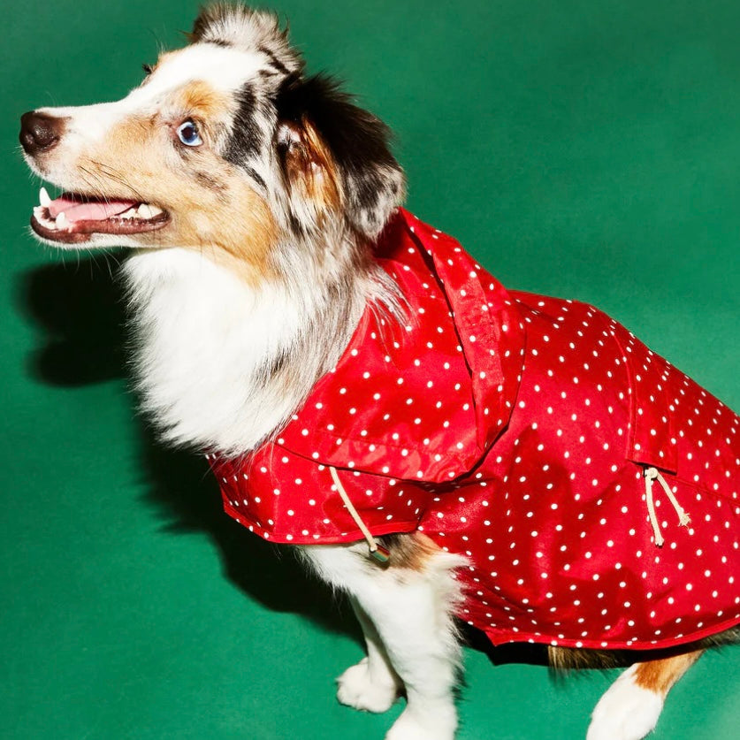 Ware of the Dog Anorak Raincoat