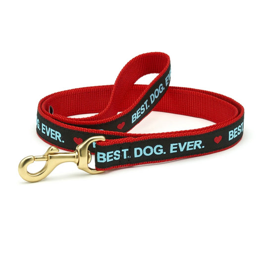 Up Country 6' Best Dog Ever Leash