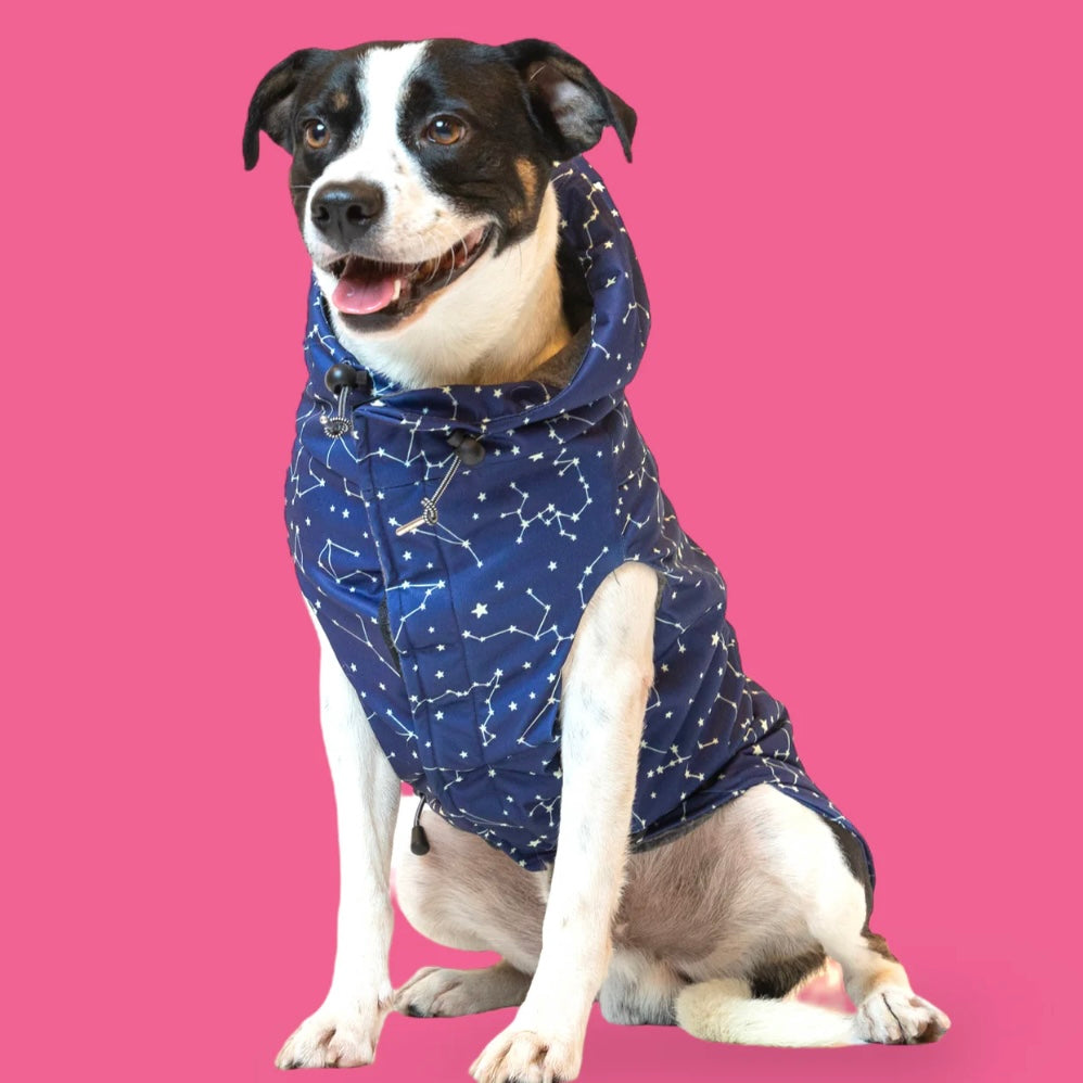 Long Dog Clothing Zodiac Stretch Raincoat