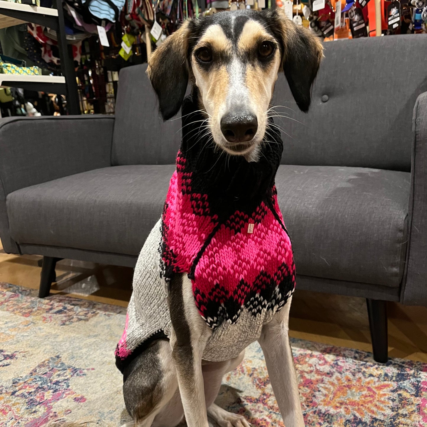 Chilly dog online sweaters