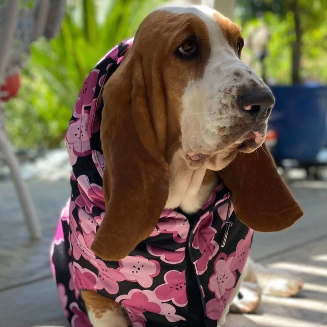 Long Dog Clothing Garden Stretch Raincoat