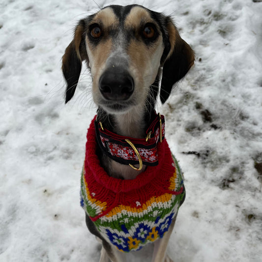 Chilly Dog Sweaters Holiday Fairisle