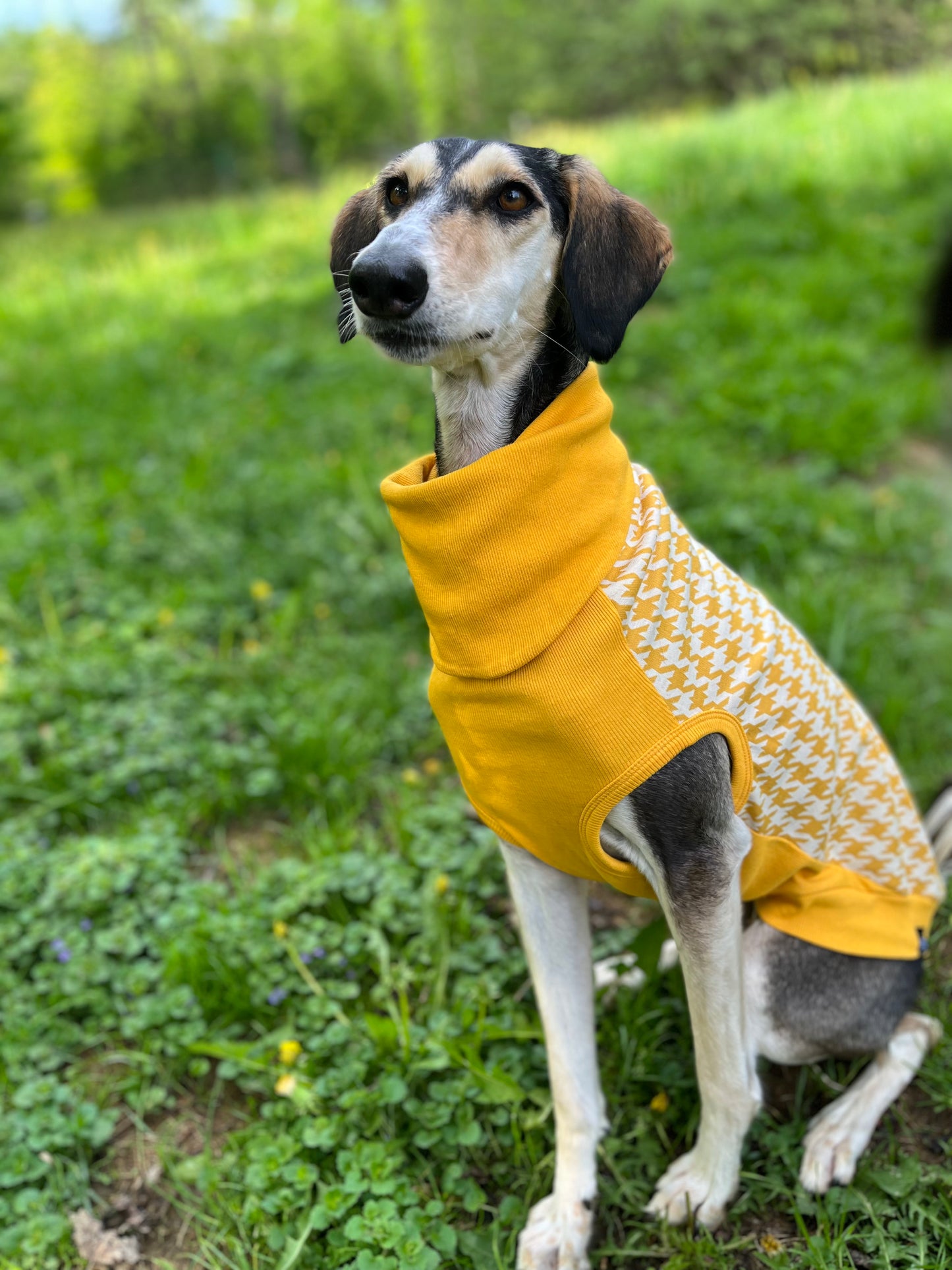 Long Dog Clothing William (Yellow Houndstooth)