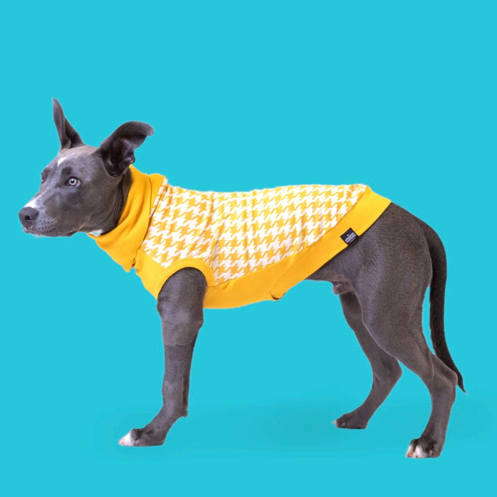 Long Dog Clothing William (Yellow Houndstooth)