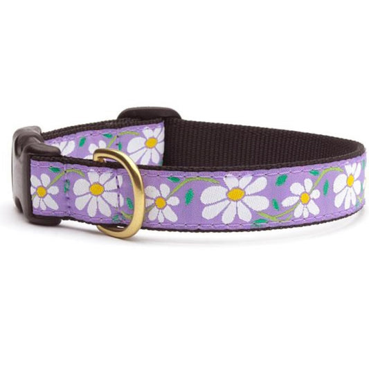 Up Country Purple Daisy Dog Collar